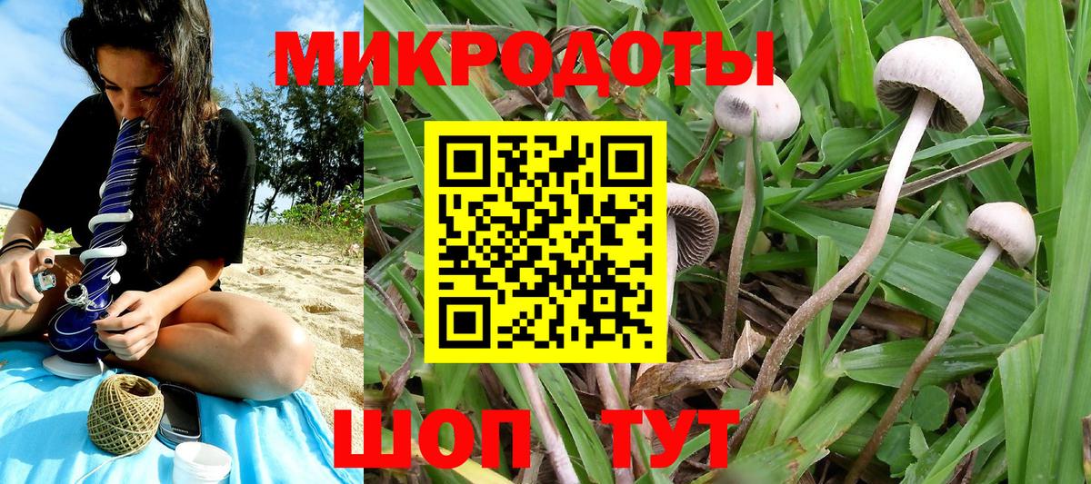 Псилоцибиновые грибы Cubensis  где можно купить   Галлюциногенные грибы MAGIC MUSHROOMS  Черногорск  Вход с VPN 